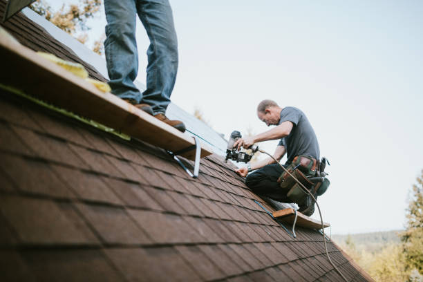 Best Roof Gutter Cleaning  in Pocatello, ID